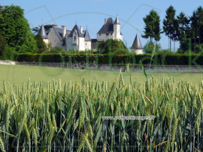Le château de Riveau, fleurs enchantées et arts enchanteurs, Indre-et-Loire