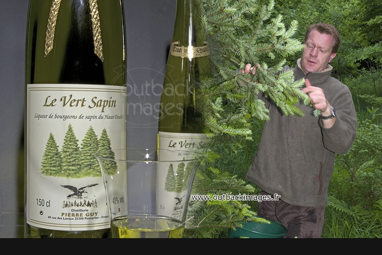 « Chevreuils » en Franche-Comté : la liqueur de sapin, fleuron du Haut-Doubs