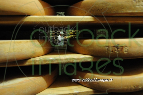 LE COMTE fromage emblématique des montagnes du jura